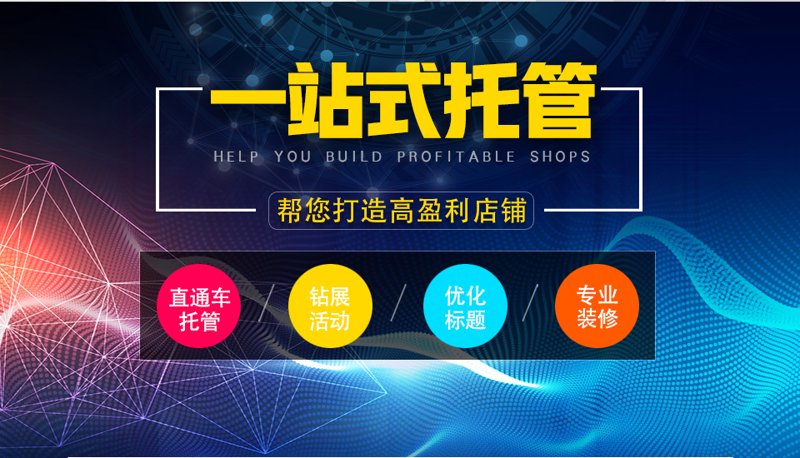 站群程序出售：从技术选型到资产化运营的深度观察